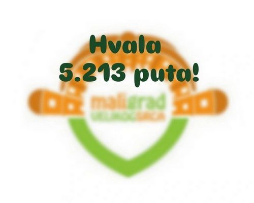 24.08.2026. Našice 13. put pokazale da su mali grad velikog srca_1
