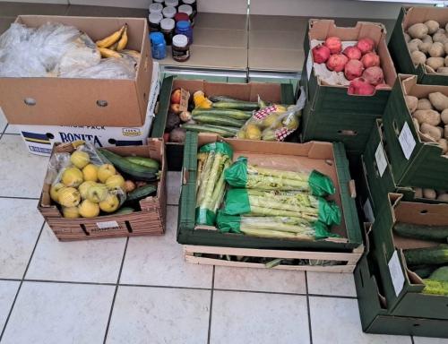 03.09.2025. Donacija Lidla Našice_4