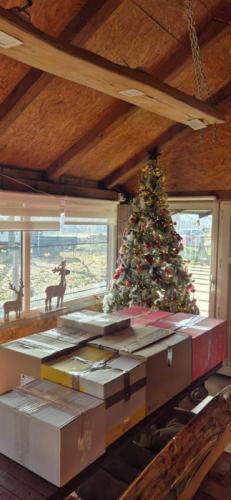 22.12.2025. Adventski kalenDAR DOBROTE 2025_16