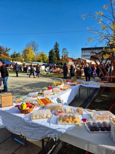 27.10.2025. HUMANITARNA AKCIJA U SKLOPU FESTIVALA OKUSA I TRADICIJE_14